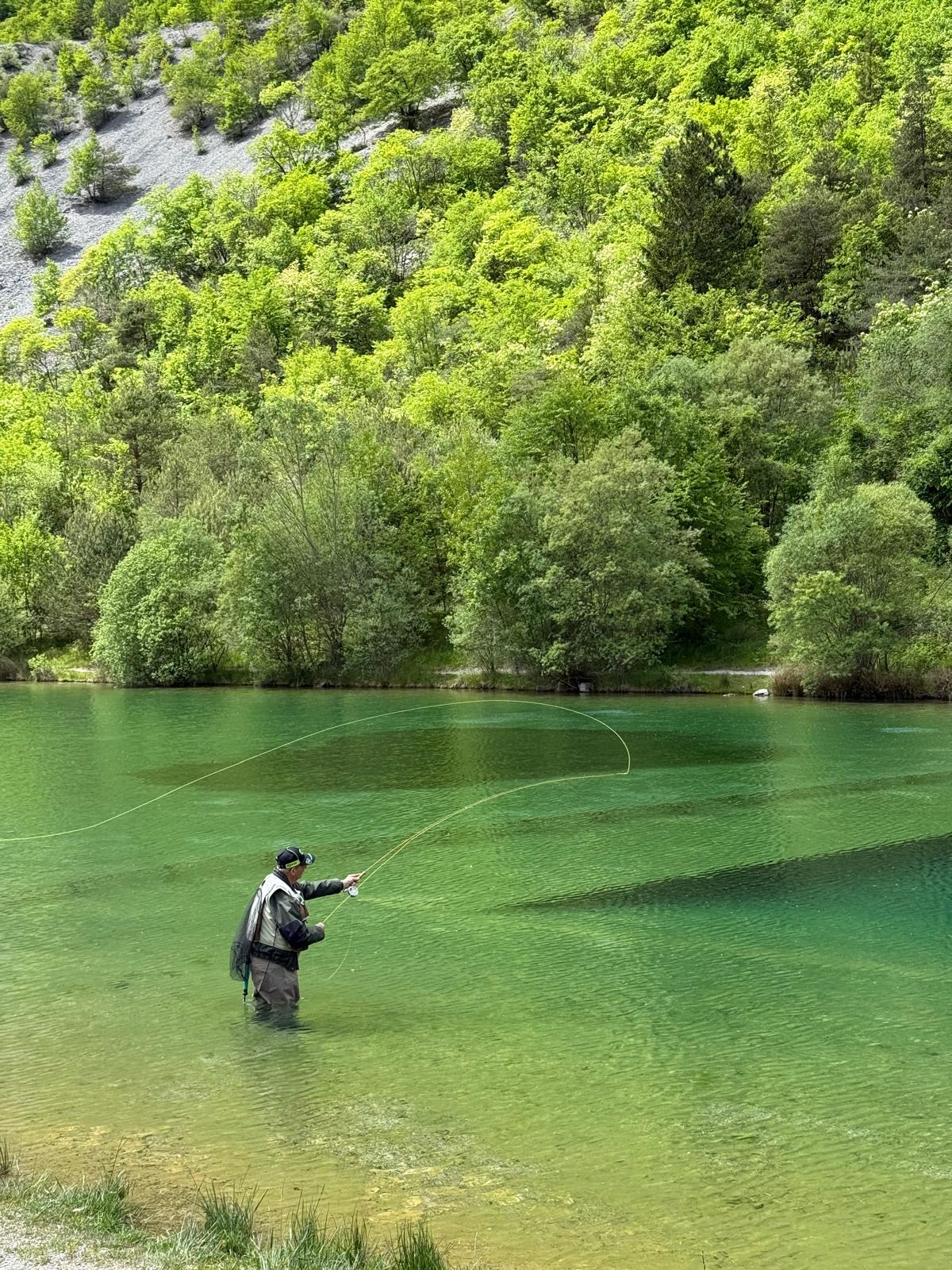 0903b8a5-b535-407e-a9b1-4cf6586c7260